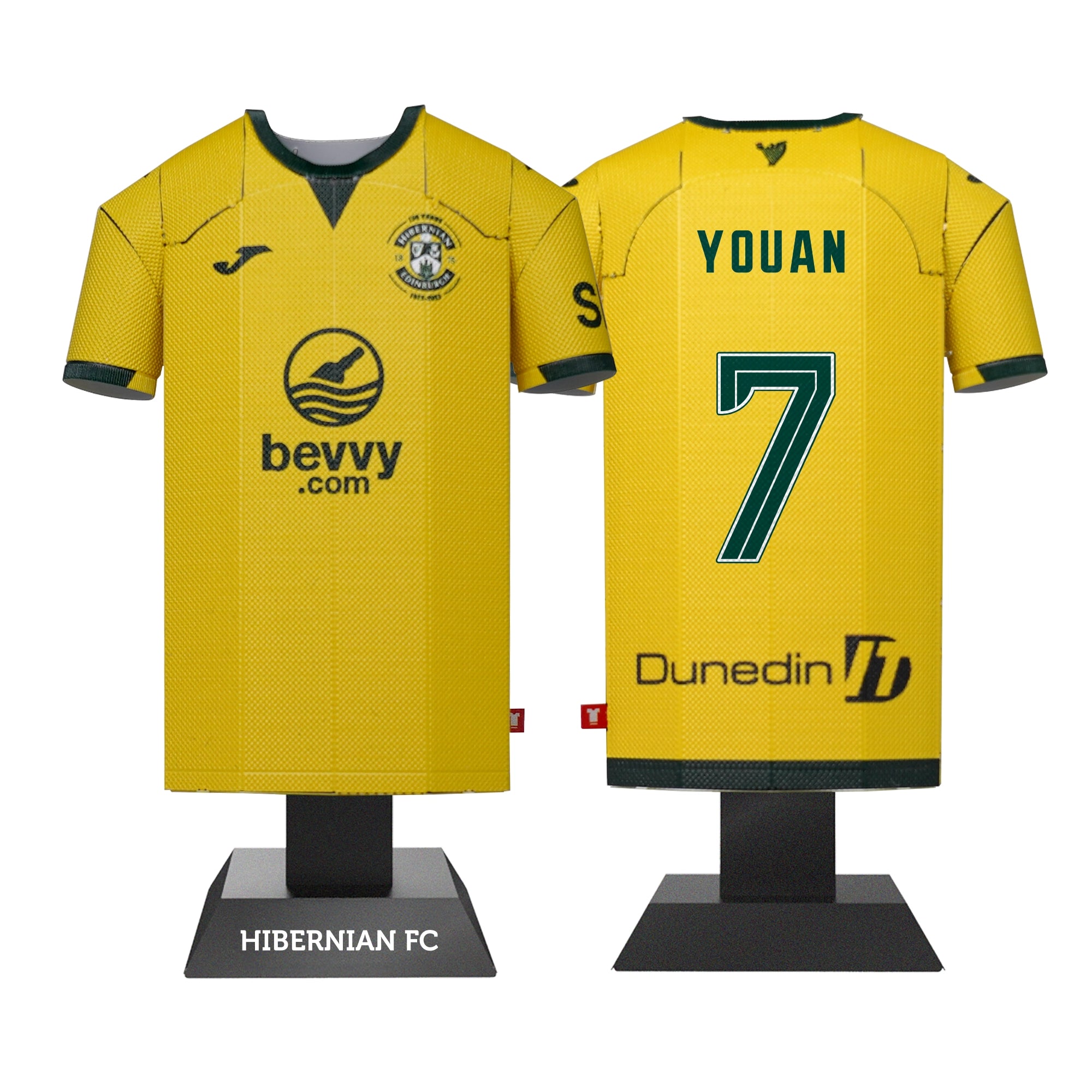 Hibernian 25/26 Alloy Shirt – Away Kit